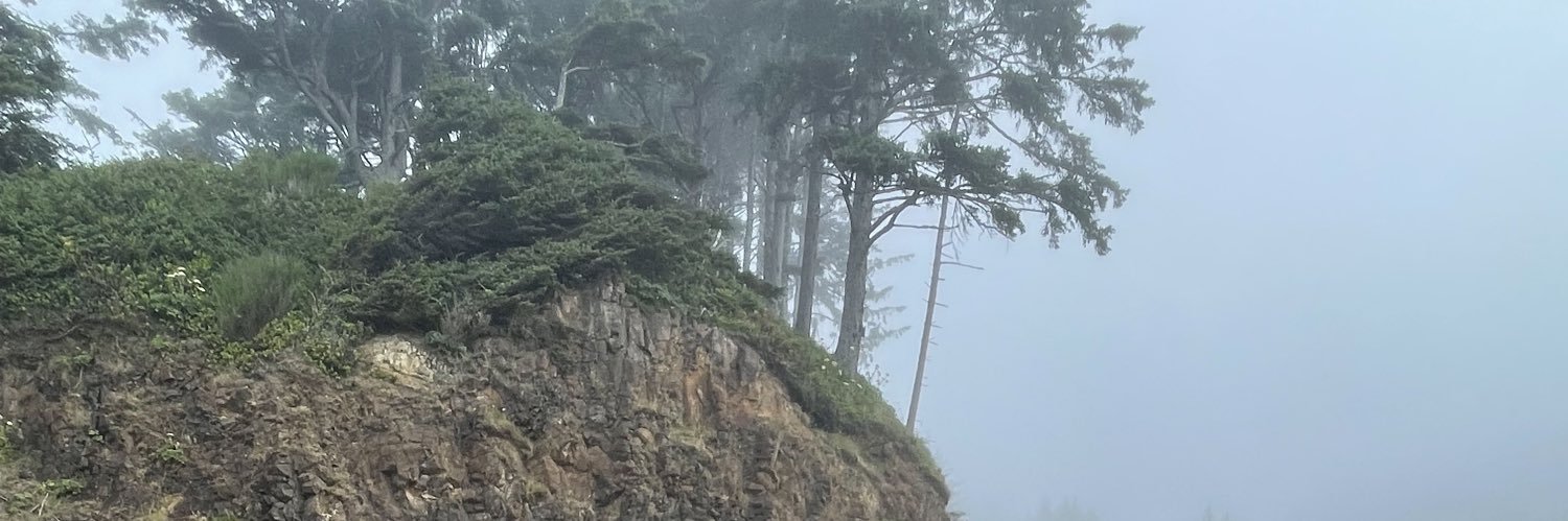 mommathoreson's profile banner image