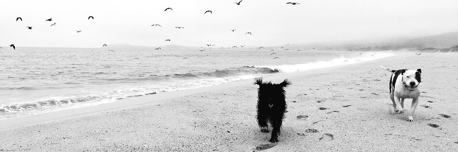 jsauce9's profile banner image