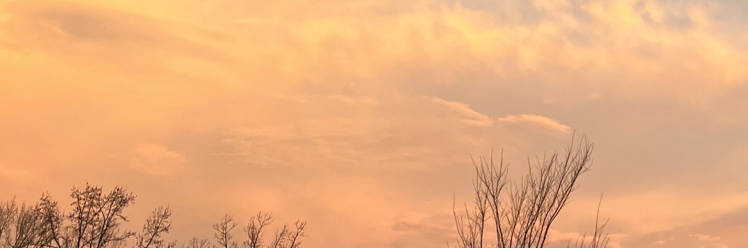 dawrree's profile banner image