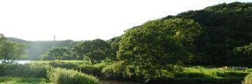 ps6583's profile banner image