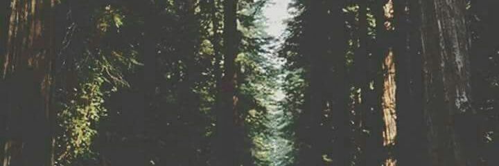 luisstirlingite's profile banner image