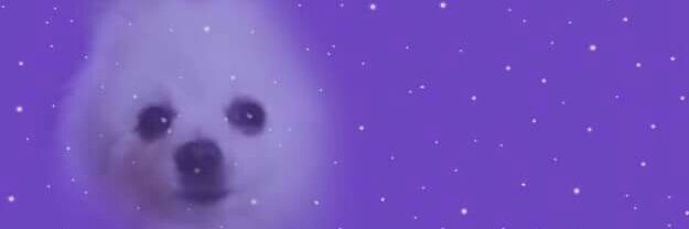 _seanboyle's profile banner image
