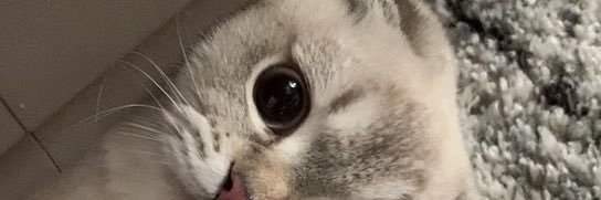 あかね banner