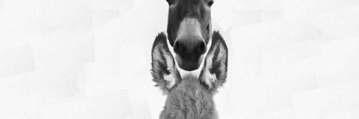 clasedeplastica's profile banner image