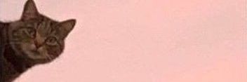 ѕoph η simmer banner