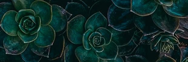 boho_sundari's profile banner image