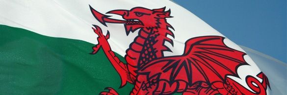 Carol 🏴󠁧󠁢󠁷󠁬󠁳󠁿🧡💙 banner