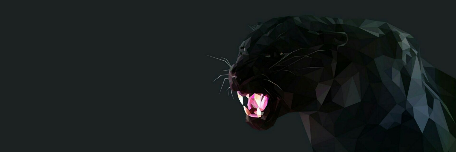 acaldwell__'s profile banner image