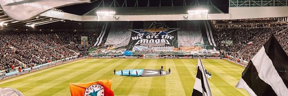 Alex Watson banner
