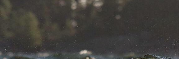 noni__hfc's profile banner image