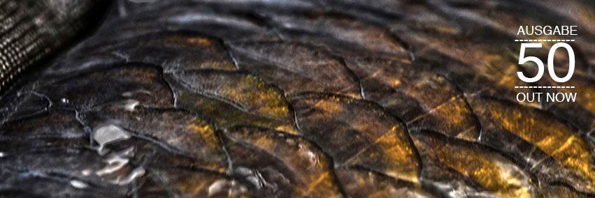 CarpinFocus's profile banner image