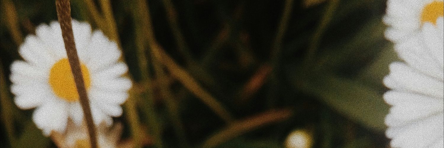 Raquel banner