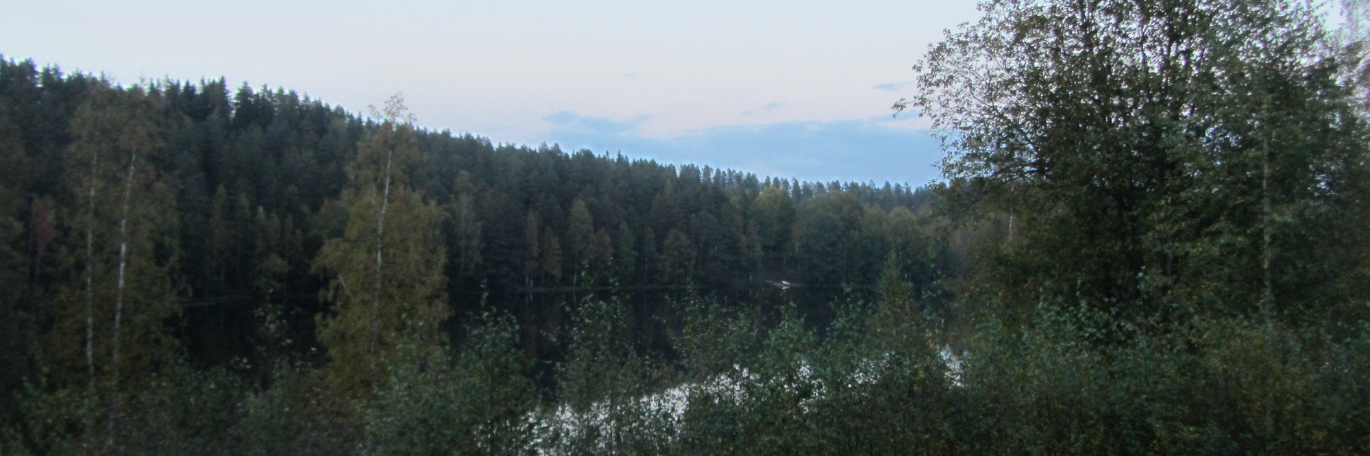 Bill Bamber #FBPE #RejoinEU🇪🇺 🇺🇦 🇵🇸Seagulls banner