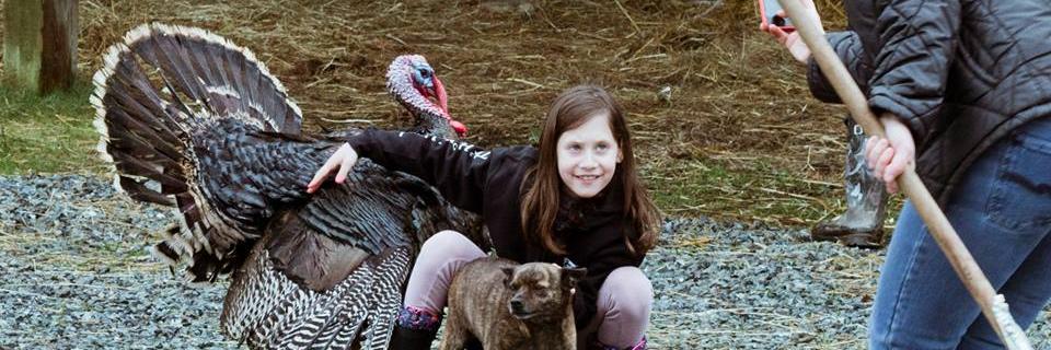 daphna_kedem's profile banner image