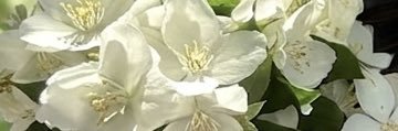 eecemgunerr's profile banner image