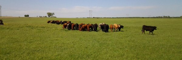 866GoToTom Profile Banner