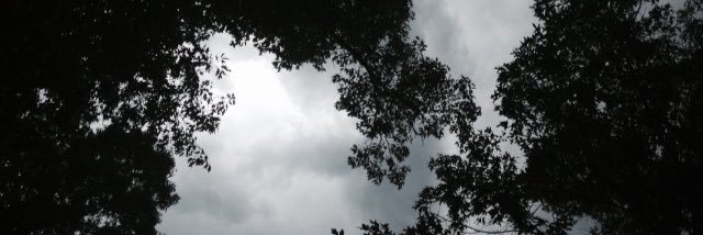 _annabelle4's profile banner image