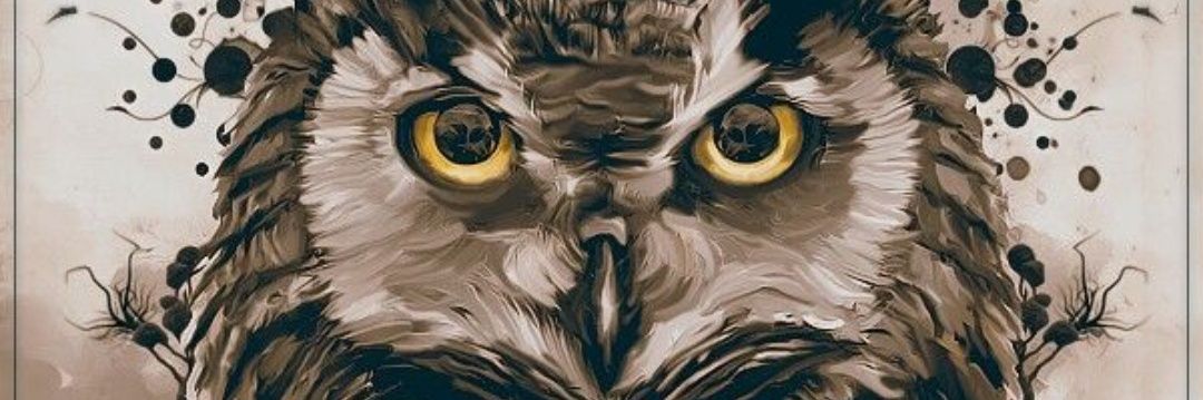 KasCady's profile banner image