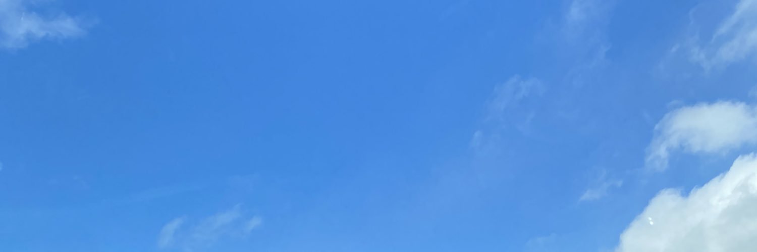 Evanmisere's profile banner image