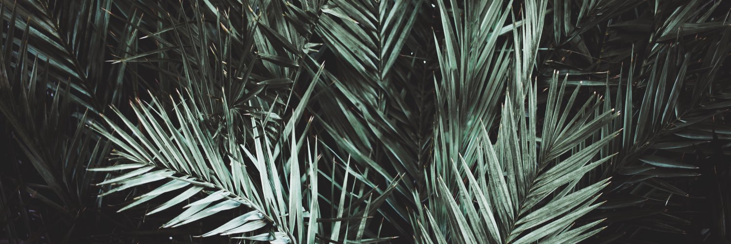 JesSummerlea's profile banner image