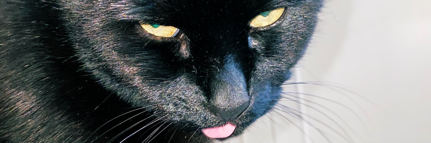 tashhwilkinson's profile banner image