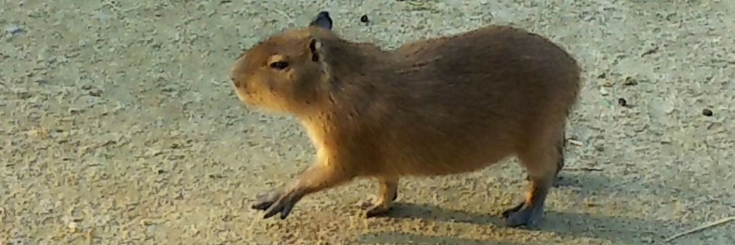 スクルージ banner