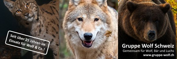 WolfSchweiz Profile Banner