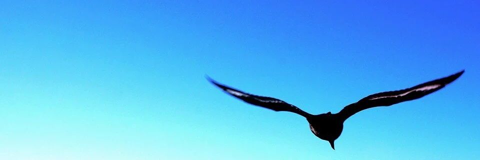 manuelab1959's profile banner image