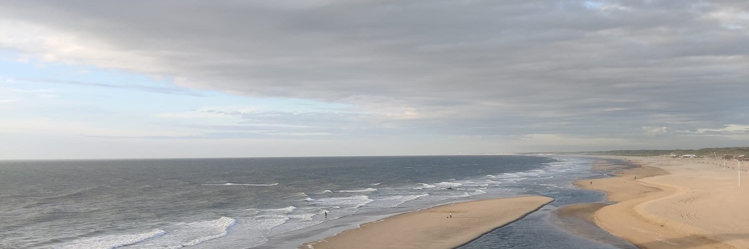 davdwilde's profile banner image