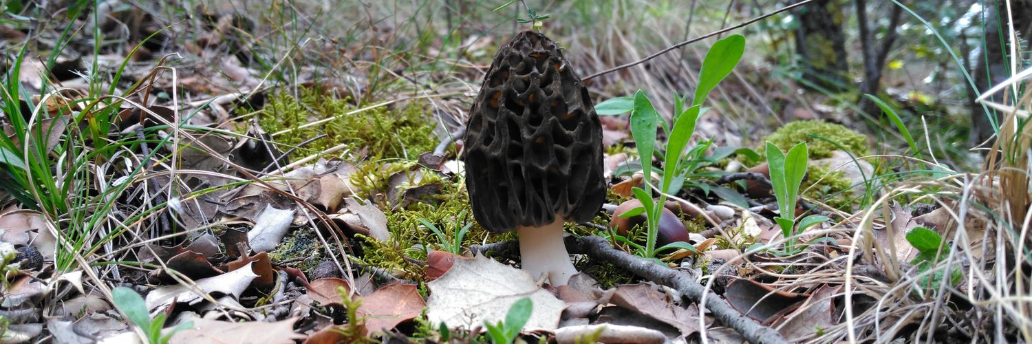 hchillida24's profile banner image