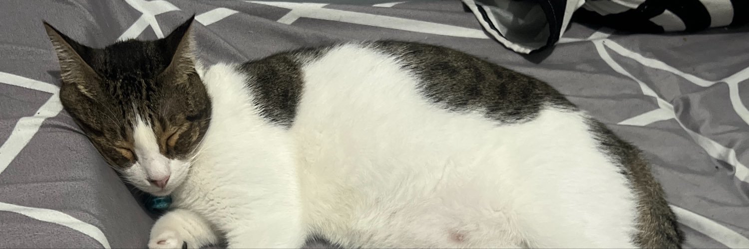 papskyyy's profile banner image