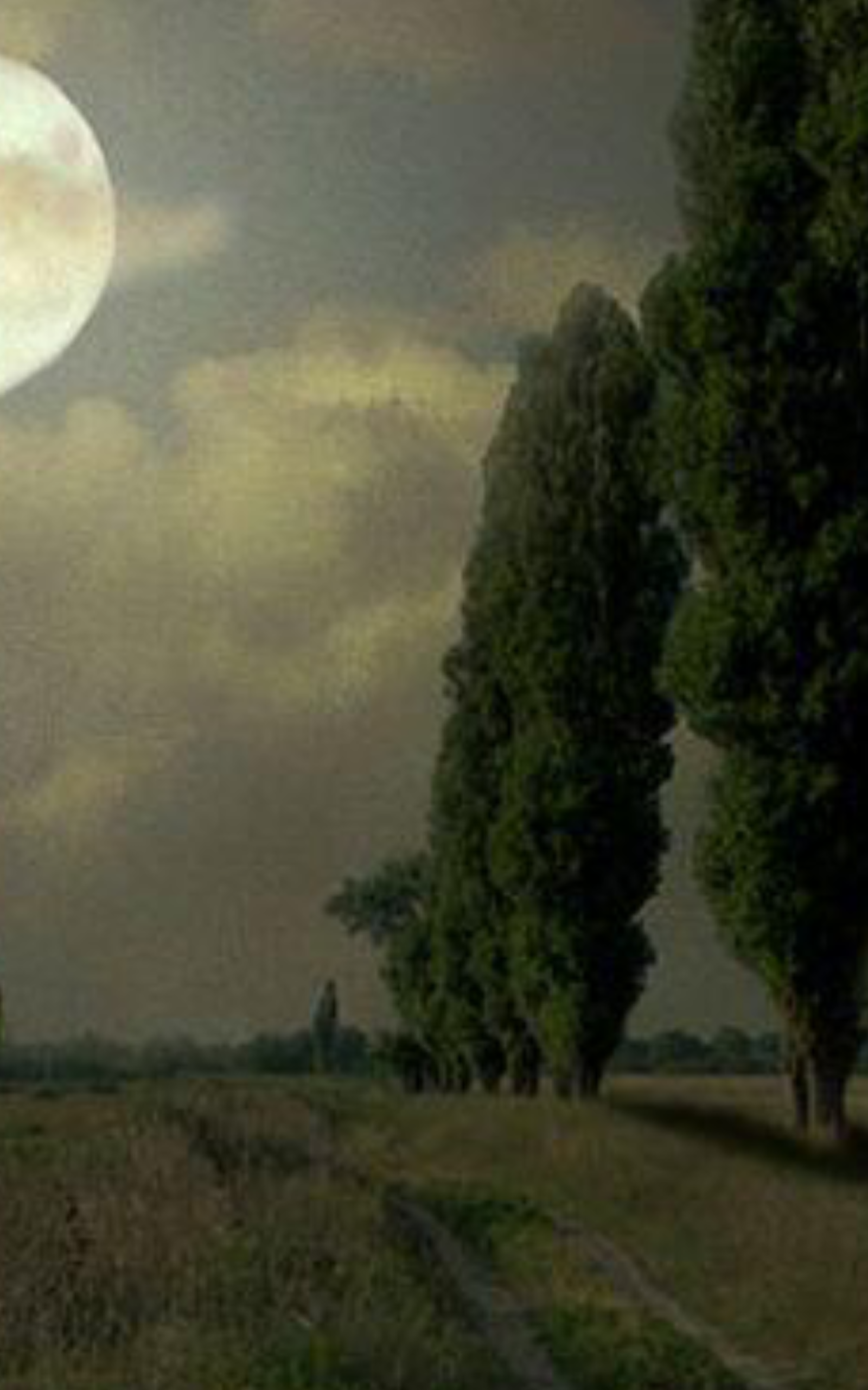 Asooms1222's profile banner image
