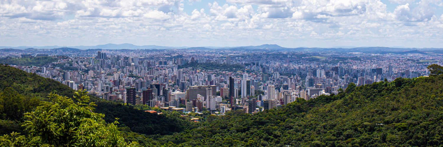 Davi Coelho banner