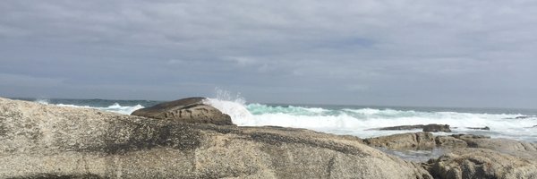 pippinsplugins Profile Banner