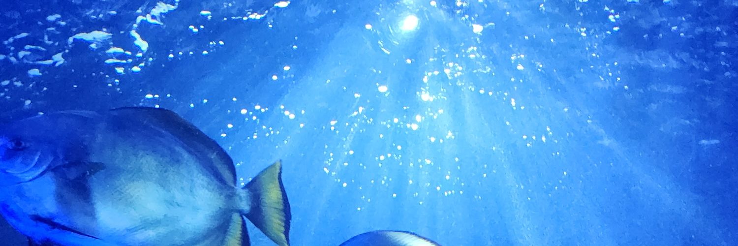 dbnvfr's profile banner image