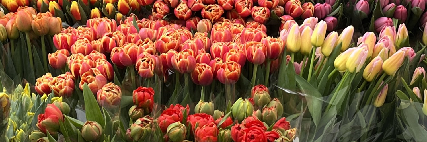 _katiehowes's profile banner image
