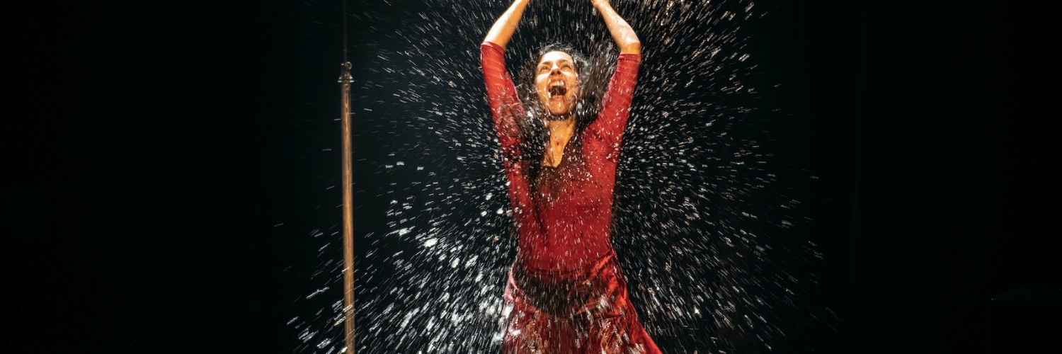 Mirna Vilasís banner