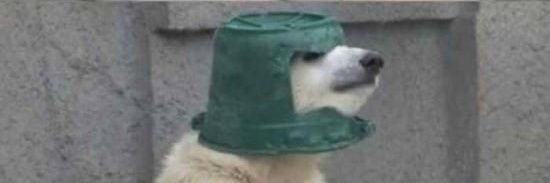 _milkin13's profile banner image