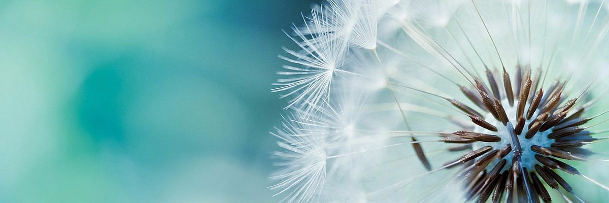 mangelsmar's profile banner image