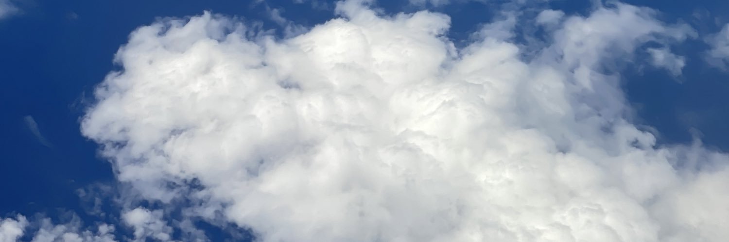 bunbun421's profile banner image