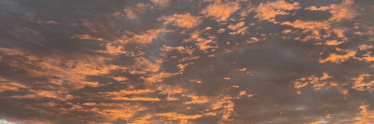 bityam's profile banner image