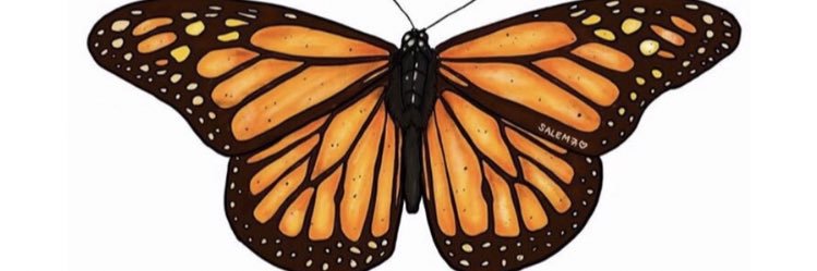 mandywashh's profile banner image