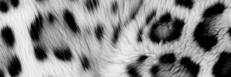 kay 🦇⋆. banner