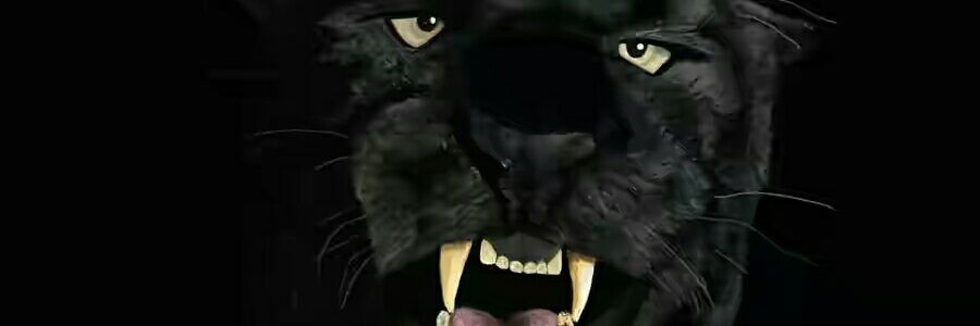 mememaster365's profile banner image