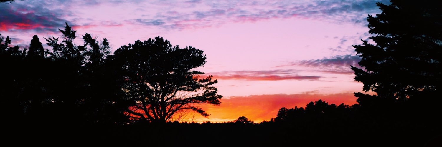 KasharMaggie's profile banner image