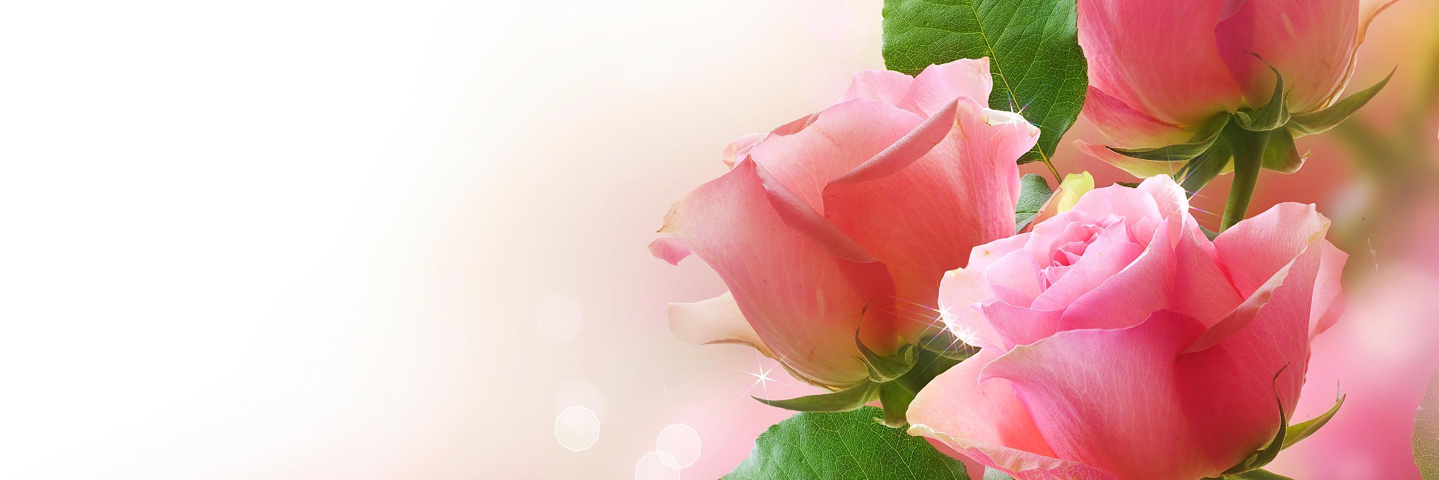 preseld's profile banner image