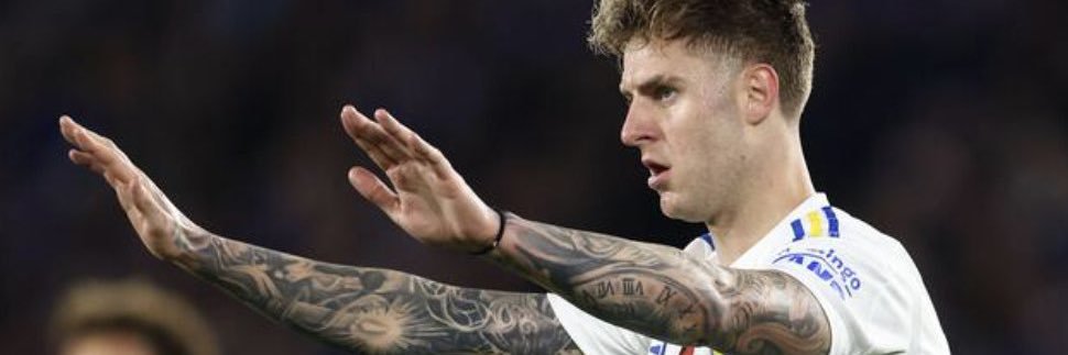 Adèle 🇾🇪 banner