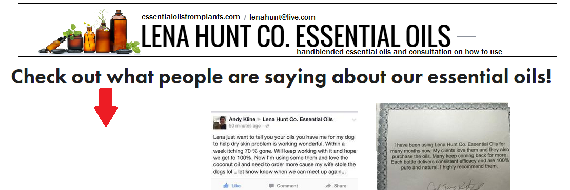 lenahuntco's profile banner image