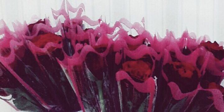 tooofy502gmail1's profile banner image
