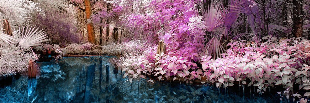 Mirah Lestari (Ø,G) Energy Labs banner